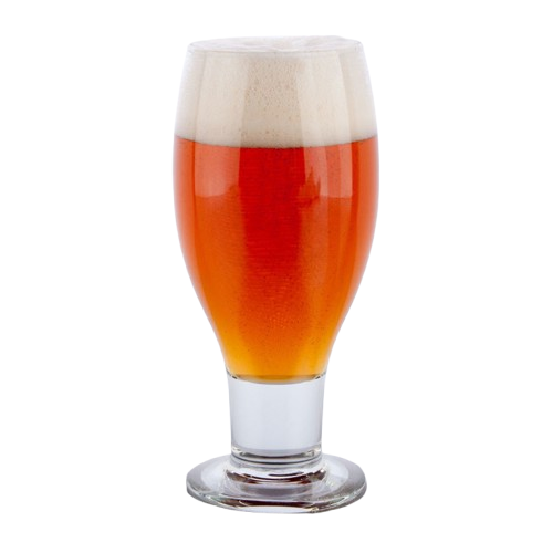 American Ipa 40 litros